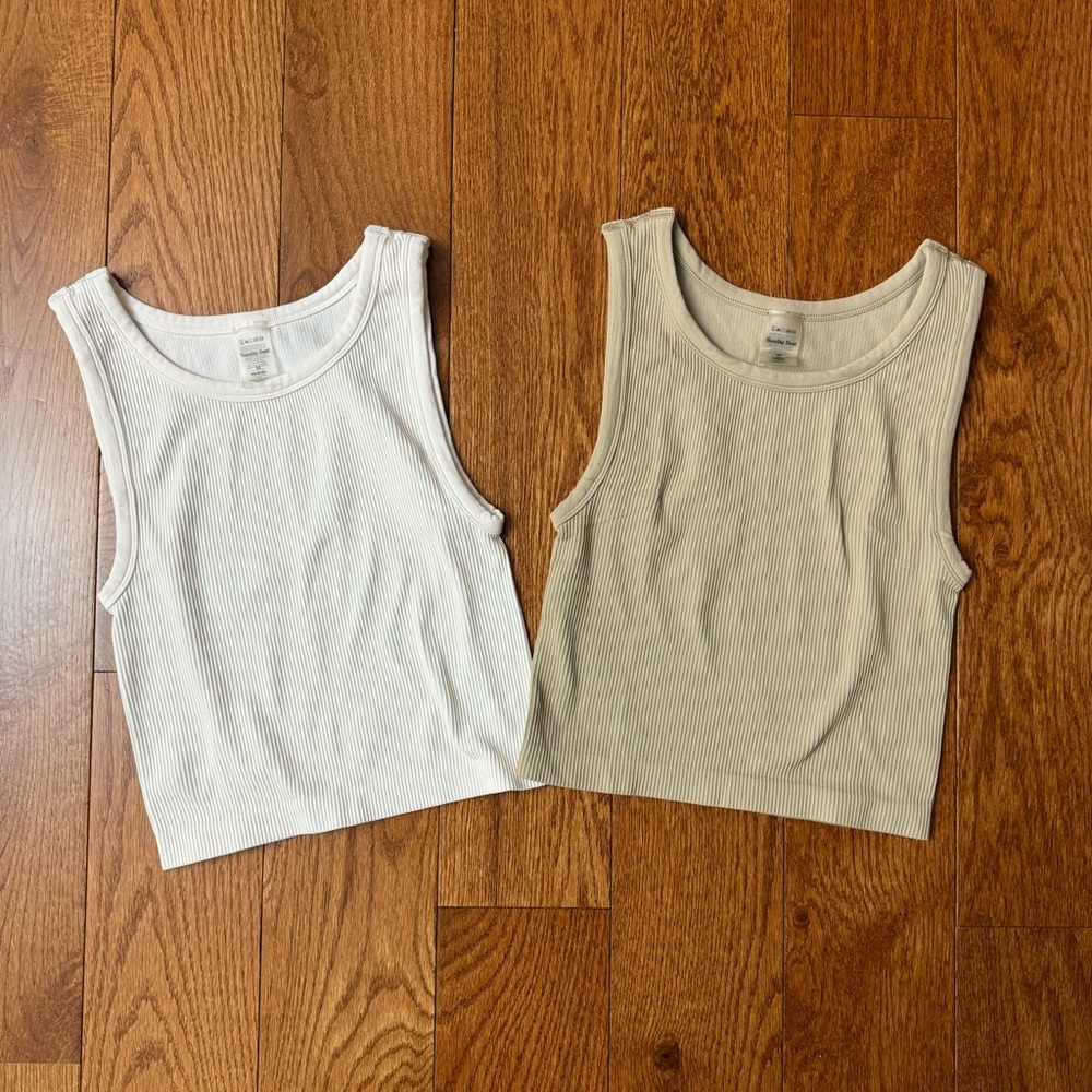 Aritzia Sunday Best SinchSeamless Rib Crew Tank